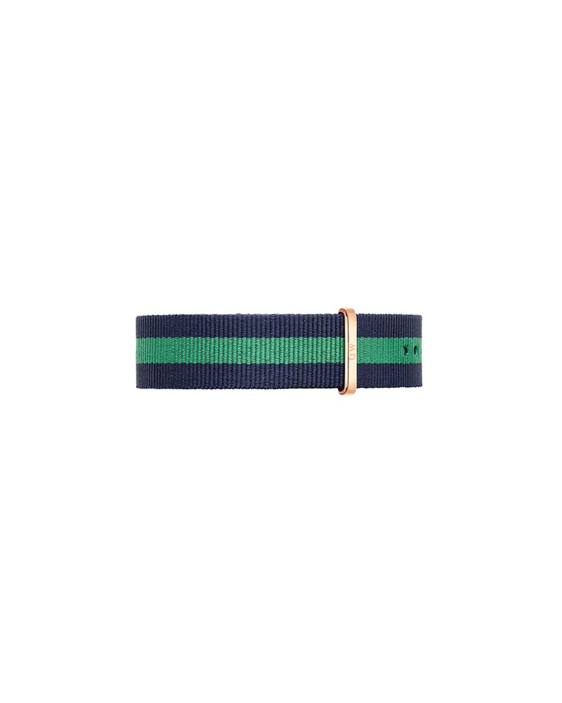 Warwick daniel wellington blue/green strap