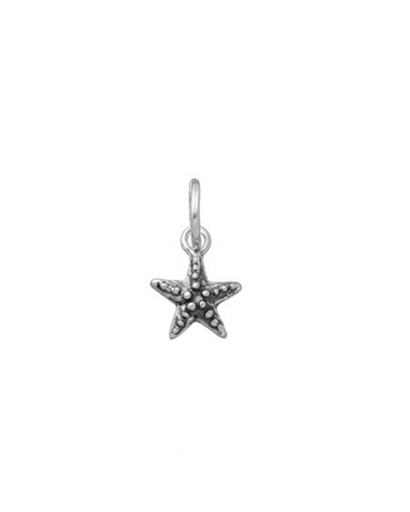 Starfish Mini Charm
