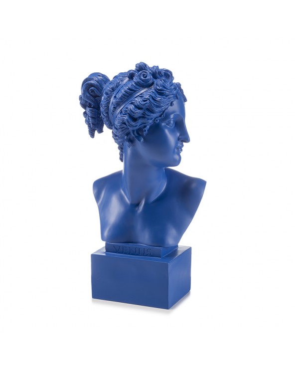 Busto Venere blu