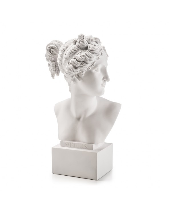 Palais Royal Busto Venere bianco medio