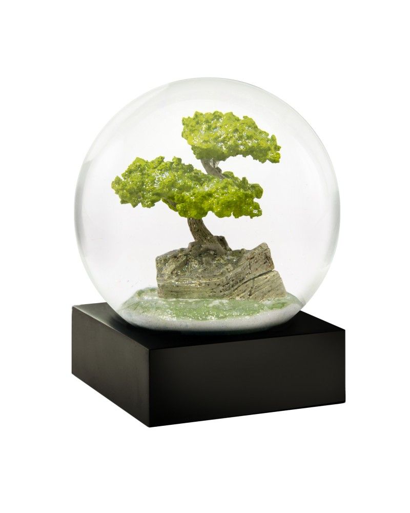 Cool Snow Globes Snow globe bonsai tree